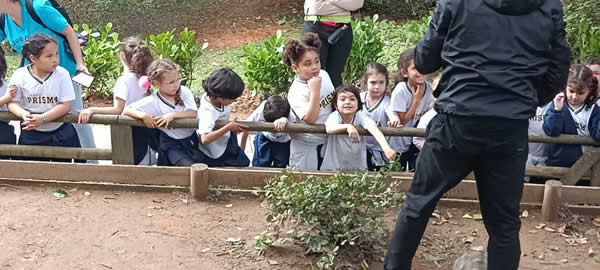 Bicho Mania 2022